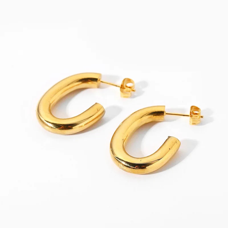 Gold-plated stainless steel earrings