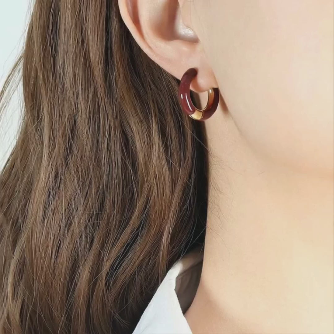 colored earring with gold plated or sil ver detail